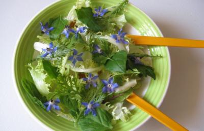 Salade aux fleurs comestibles de saison
